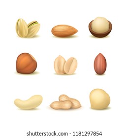 Realistic Detailed 3d Different Types Nuts Set Include of Peanut, Hazelnut, Almond, Cashew and Pistachio. Vector illustration