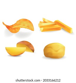 Realistic Detailed 3d Different Views Potatoes Vegetable Set Include of Potato Chips and French Fries Fast Food. Vector illustration
