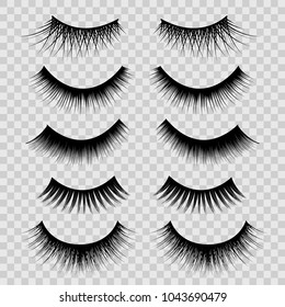 Realistic Detailed 3d Feminine Black Lashes Set on a Transparent Background Beauty Product. Vector illustration of False Eyelashes