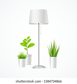 Realistic Detailed 3d Floor Lamp and Different Green Plant Interior in Pot. Vector illustration of Indoor Plants