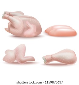 Realistic Detailed 3d Fresh Chicken Parts Set Separated Piece Elements for Diet. Vector illustration of Meat Bird
