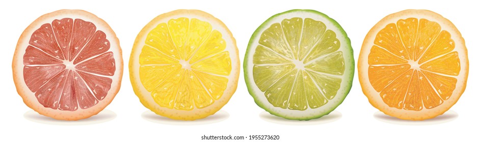 Realistic Detailed 3d Fresh Ripe Sliced Fruits Orange Lime and Lemon Set. Vector