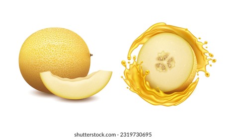 Realistic Detailed 3d Fresh Whole Melon Fruit and Half with Splash Isolated on a White Background. Vector illustration