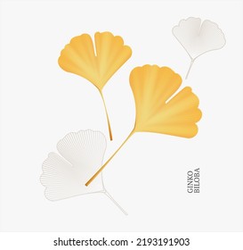 Realistic Detailed 3d Ginkgo Biloba Leaves Set Autumn Sale Concept. Vector illustration of Asian Decor Element