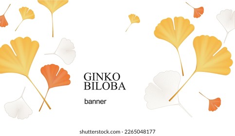 Realistic Detailed 3d Ginkgo Biloba Leaves Banner Sale Concept. Vector illustration of Asian Decor Element
