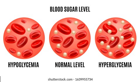 Realistic Detailed 3d Glucose Blood Level Stock Vector (Royalty Free ...