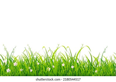 Realistic Detailed 3d Green Grass Border Line Element for Web and App Design Meadow Concept. Vector illustration