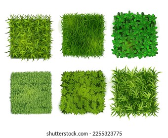 Realistic Detailed 3d Green Ground Cover Plants Set Isolated on a White Background. Vector illustration of Piece Grasses