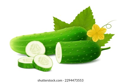 Realistic Detailed 3d Green Raw Whole Cucumbers, Slices, Flower and Leaves Element for Salad Recipe, Market. Vector illustration