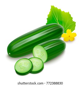 Realistic Detailed 3d Green Raw Whole Cucumber, Slices, Flower and Leaves Element for Salad Recipe, Market. Vector illustration