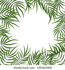 Realistic Detailed 3d Green Tropical Palm Tree Frame Houseplant for Decoration Interior Home and Office. Vector illustration