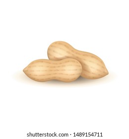 Realistic Detailed 3d Groundnut Nuts Set. Vector illustration