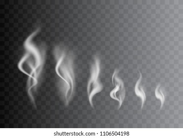 Realistic Detailed 3d Images Smoke Vapor Texture Set on Transparent Background Smoking Elements Big and Small. Vector illustration of Fog Motion Effect