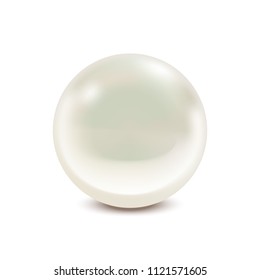 Realistic Detailed 3d Natural with Pearl Isolated on White Background Treasure of Sea. Vector illustration of Natural Jewel