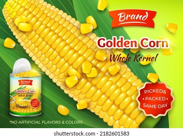 Realistic Detailed 3d Organic Canned Maize and Golden Corn Cob Ads Banner Concept Poster Card. Vector illustration