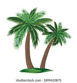 Realistic Detailed 3d Palm Tree Set Symbol of Beach and Exotic Plant of Tropical Forest. Vector illustration