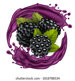 Realistic Detailed 3d Raw Blackberries Berries With Splash Juice. Vector Illustration Of Berry