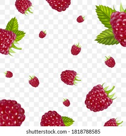 Realistic Detailed 3d Red Raspberry Berries Seamless Pattern Background on a Transparent. Vector illustration of Berry