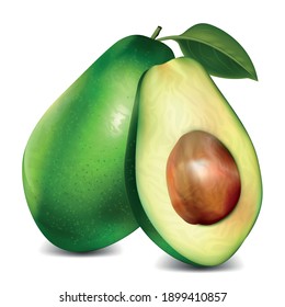 Realistic Detailed 3d Ripe Green Whole Avocado and Half with Seed Set Healthy Food. Vector illustration