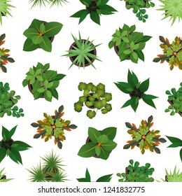 Realistic Detailed 3d Top View Green Plants Seamless Pattern Background on a White for Home and Office. Vector illustration of Plant or Houseplant