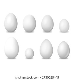 Realistic Detailed 3d White Blank Bird Eggs Different Shape Set of Quail and Chicken. Vector illustration of Egg