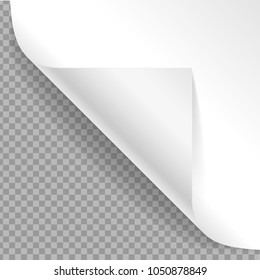 Realistic Detailed 3d White Curved Corner on a Transparent Background Flipping or Reverse Paper. Vector illustration of Angle