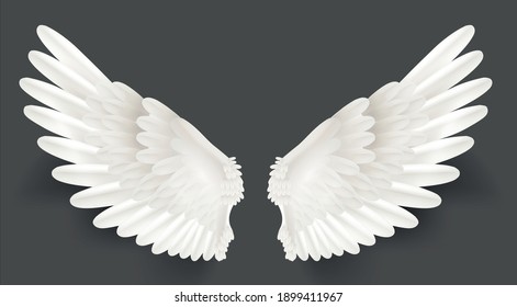 Realistic Detailed 3d White Wings Set on a Grey Background Angel or Bird Decoration. Vector illustration