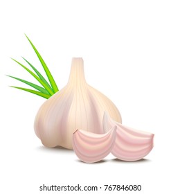 Realistic Detailed 3d Whole Garlic and Cloves Closeup View Isolated on White Background Natural Spicy Healthy Food. Vector illustration