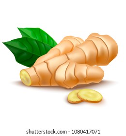 Realistic Detailed 3d Whole Ginger Root with Green Leaves and Slices Organic Healthy Spice. Vector illustration of Medicine Plant and Condiment