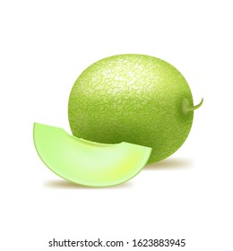 Realistic Detailed 3d Whole Green Honeydew Melon and Slice. Vector illustration of Fresh Ripe Sweet Fruit with Piece