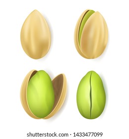 Realistic Detailed 3d Whole with Shell and Green Kernels Pistachio Nuts Set. Vector illustration of Kernel Nut