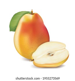 Realistic Detailed 3d Whole and Slice of Pear Set. Vector