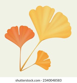 Realistic Detailed 3d Yellow Ginkgo Biloba Leaves Branch Set Autumn Sale Concept. Vector illustration of Asian Decor Element