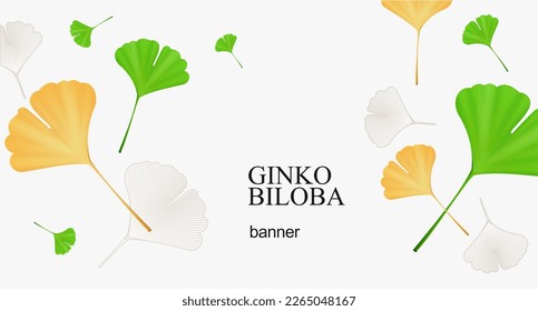 Realistic Detailed 3d Yellow and Green Ginkgo Biloba Leaves Banner Sale Concept. Vector illustration of Asian Decor Element