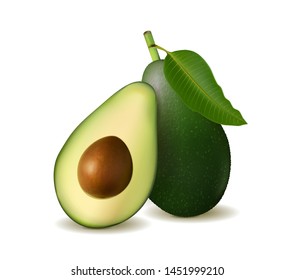 Realistic detailed avocado illustration, isolated on white background with halves and whole avocado. Vector, 3d illustration