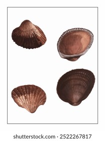 Realistic detailed brown shells, textured with delicate ridges, displayed against a clean white backdrop in a symmetrical arrangement.