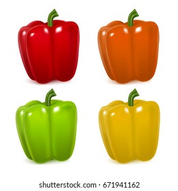 Realistic Detailed Color Pepper Set Fresh Healthy Vegetable Food Tasty Organic Vitamin. Vector illustration