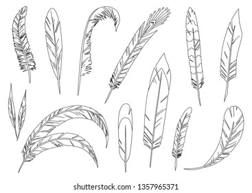 Realistic detailed feathers set, hand drawn vector illustration. Coloring book page.