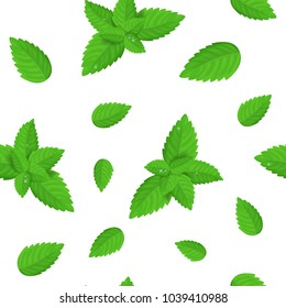 Realistic Detailed Fresh Green Mint or Spearmint Leaves Seamless Pattern Background Aroma Spice Healthy Plant, Tea and Food. Vector illustration of Peppermint Leaf