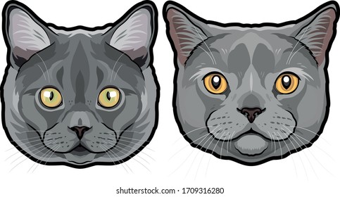 Realistic detailed fur portrait of cute British shorthair cats isolated