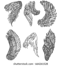 Realistic detailed hand drawn illustration of wings set. Graphic tattoo style image. Design element for t-shirt print.