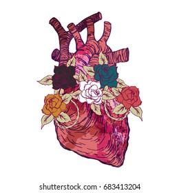 Realistic detailed hand drawn illustration of heart with flames, spread wings, roses. Ink engraving style colorful image. Design element for t-shirt print.