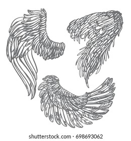 Realistic detailed hand drawn illustration of wings set. Graphic tattoo style image. Design element for t-shirt print.