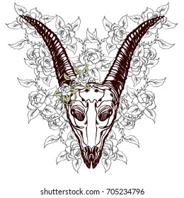 Realistic detailed hand drawn illustration of an old animal goat skull with big horns and roses background. Graphic tattoo style image on occult theme. Design for t-shirt print.