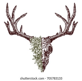 Realistic detailed hand drawn illustration of an old animal deer skull half of head is grass and flowers. Graphic tattoo style image on occult theme. Design for t-shirt print.