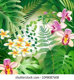 Realistic detailed illustration with tropical leaves and orchid flower. Colorfull and bright. Design elements for cosmetics products, wellness, spa and floristic shop.