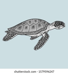 Realistic detailed image sea tortoise isolated on grey background. Turtle in motion, side view. On the shell mosaic pattern with gradient fill. Traces of moss and stones on the neck, head and fins.