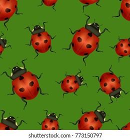 Realistic Detailed Insect Ladybug Seamless Pattern Background on a Green for Web Nature Wildlife. Vector illustration