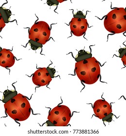 Realistic Detailed Insect Ladybug Seamless Pattern Background for Web Nature Wildlife. Vector illustration