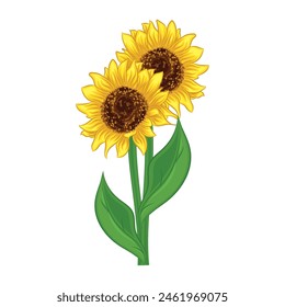 Realistic detailed sunflowers bouquet Vector illustration